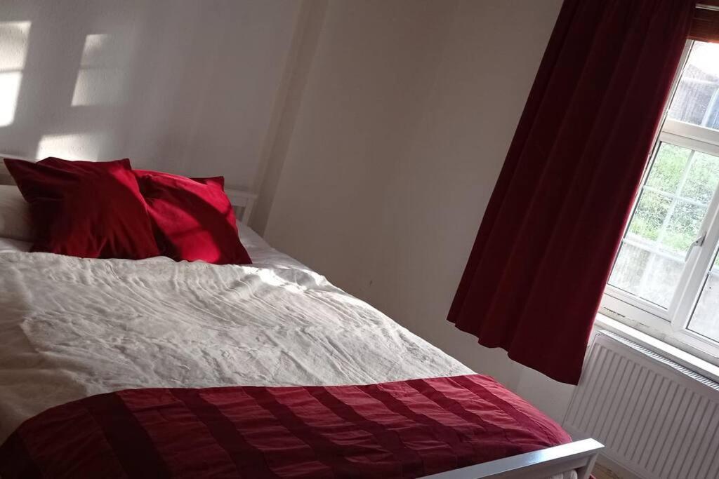 Sunny And Spacious Flat In Nw3 London Luaran gambar